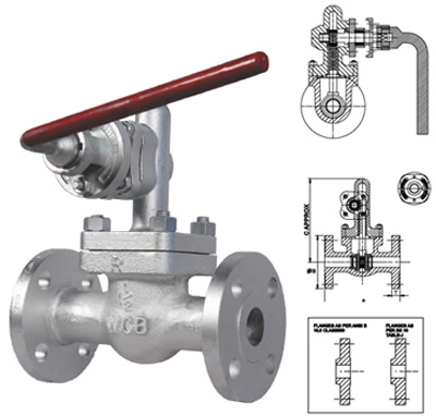 Cast Steel Blow Down Valves